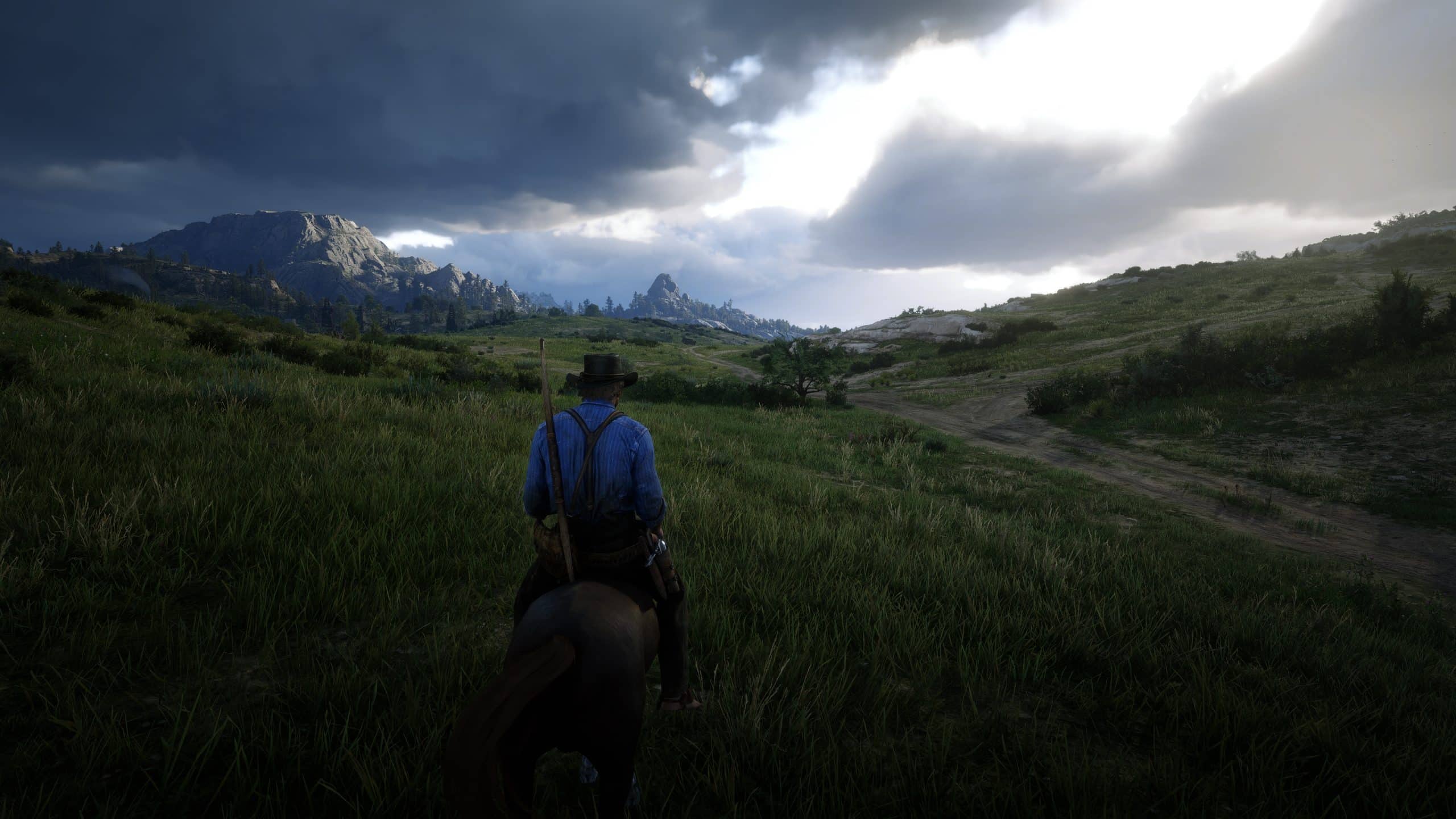 modstå Demokratisk parti Store Red Dead Redemption 2 (PC) Review - The Most Fun You'll Have Benchmarking  Your PC