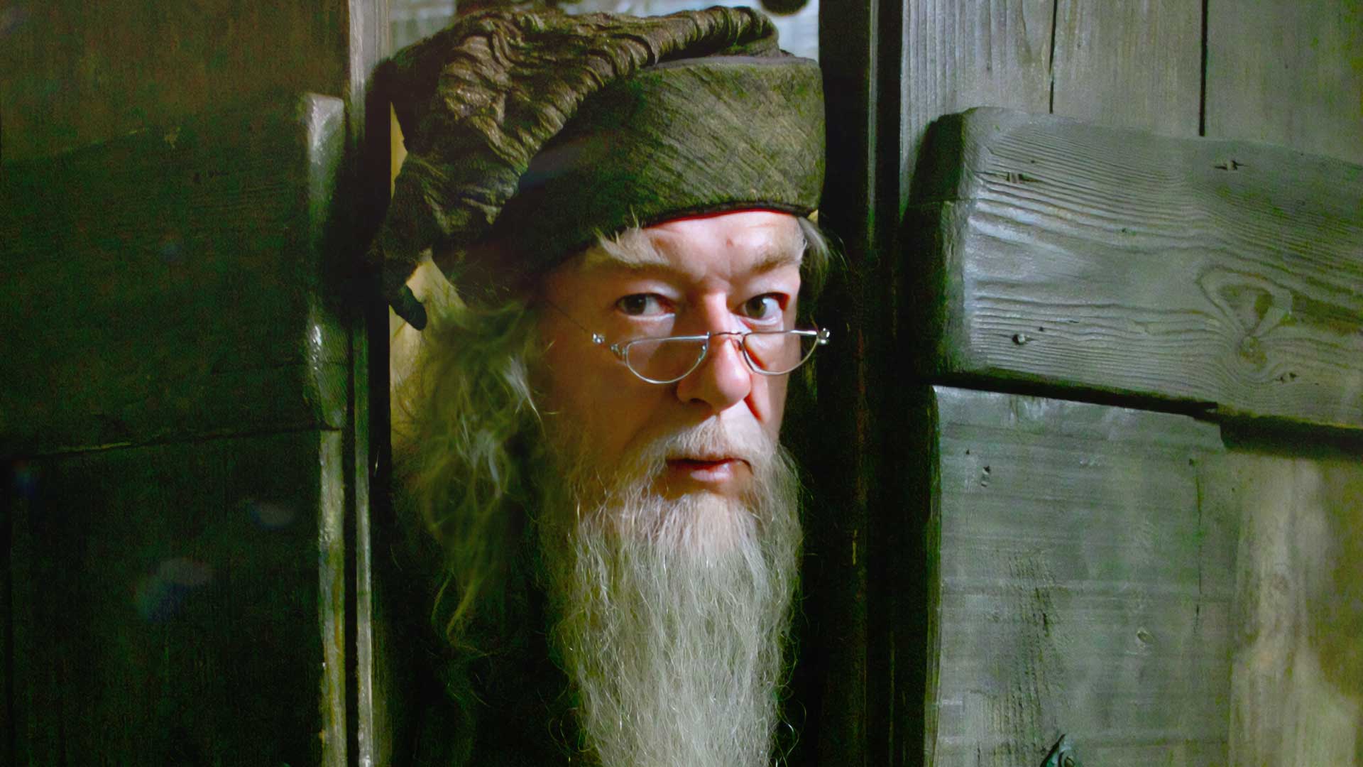 Dumbledore Harry Potter Spin-Off