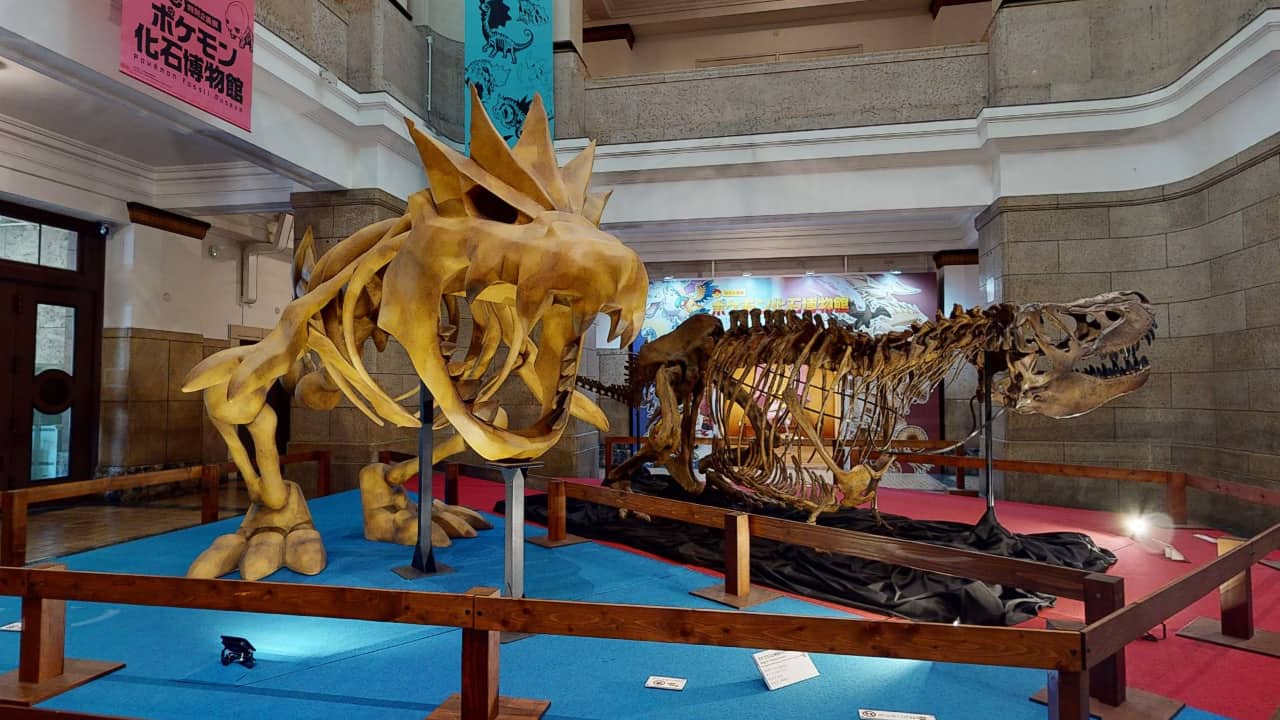 Pokémon Fossil Museum: Take A Virtual Tour Online