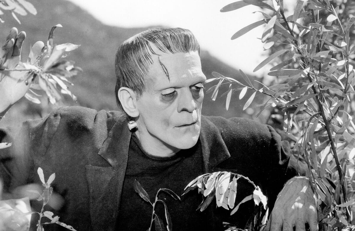 Frankenstein (1931)