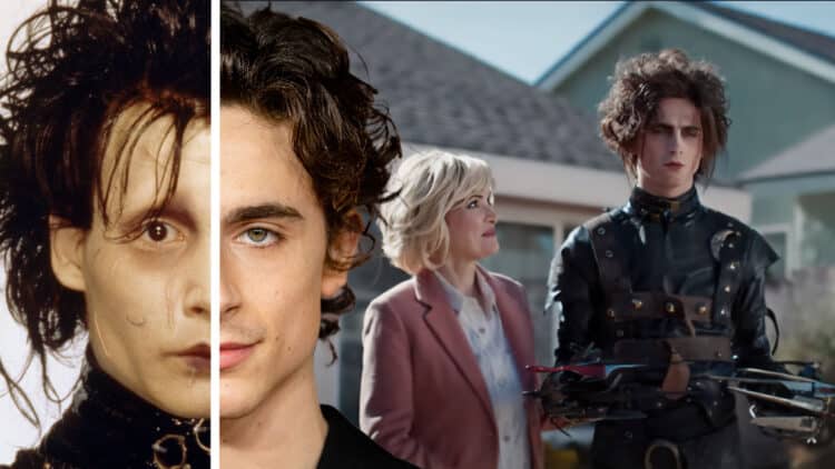 Edgar Scissorhands: Why This Sequel With Timothée Chalamet Needs To Happen