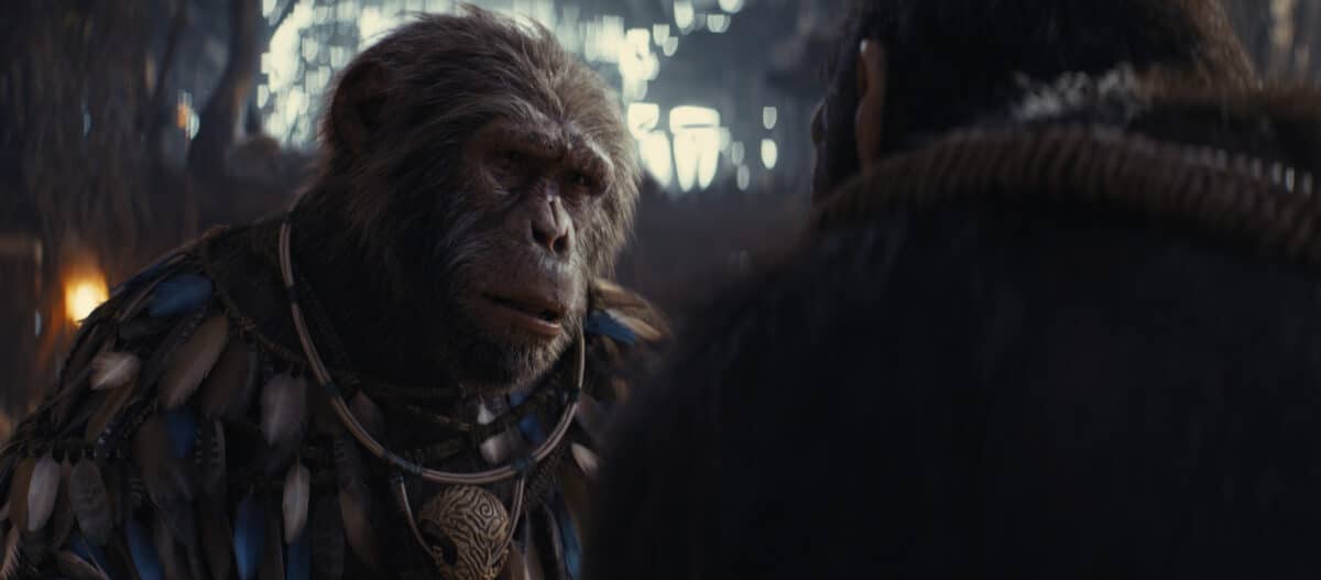 Interview Neil Sandilands Kingdom of the Planet of the Apes
