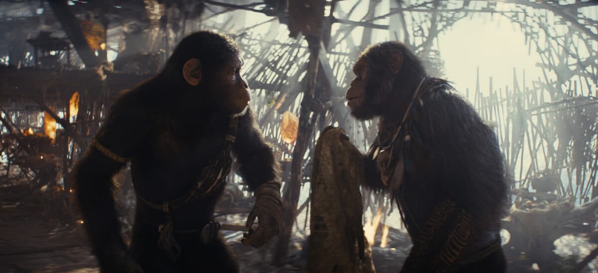Kingdom of the Planet of the Apes Interview Neil Sandilands