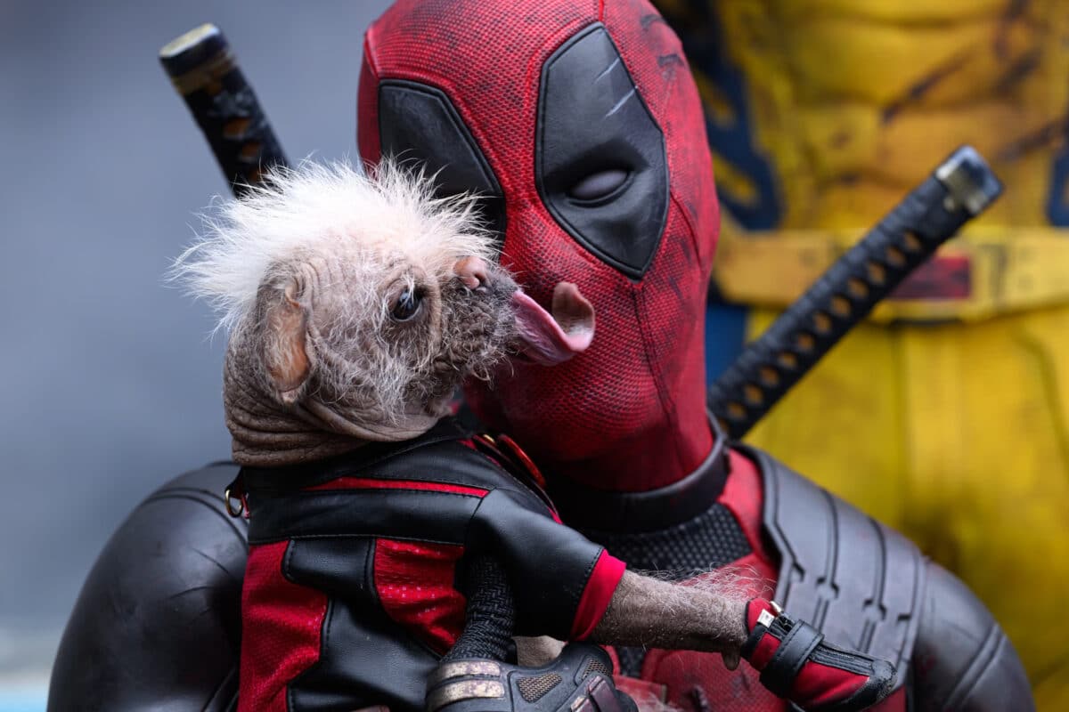 Deadpool & Wolverine Dog