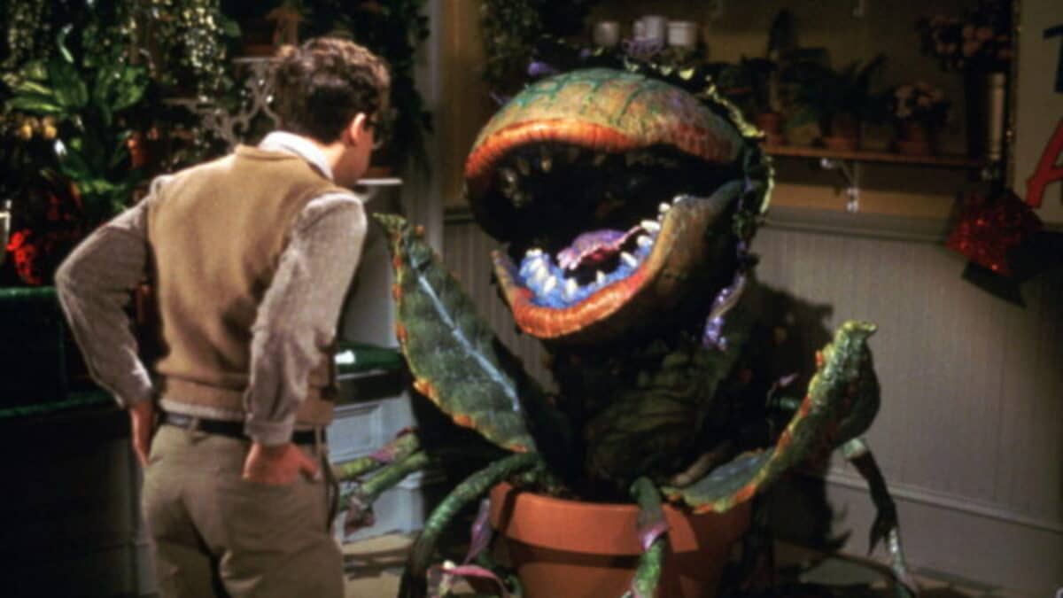 Little Shop of Horrors: The Director's Cut