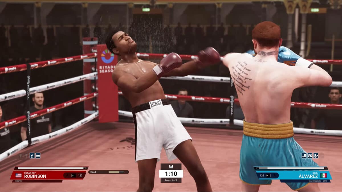 Undisputed Boxing Game Review