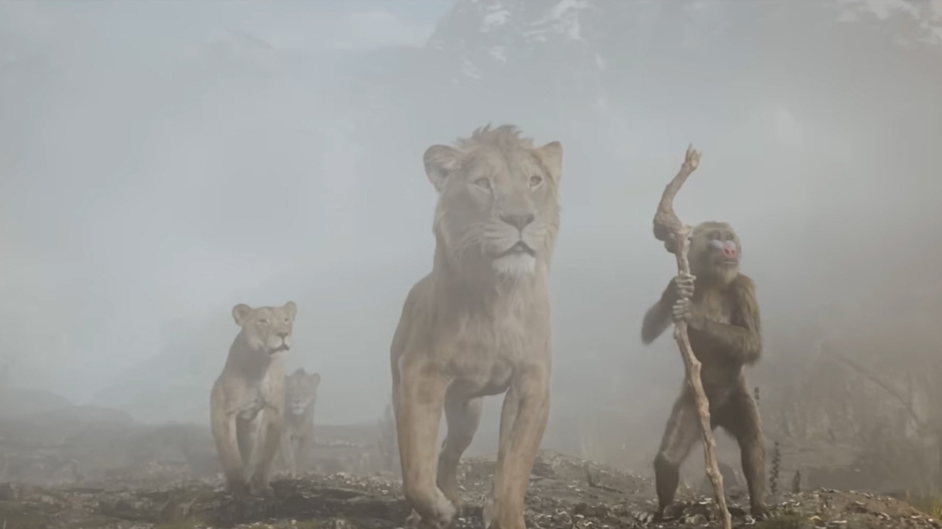 the lion king mufusa film review 2024