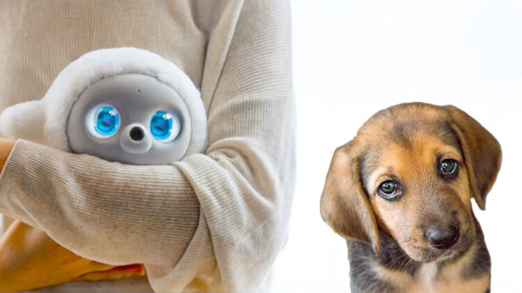 AI Will Replace Your Pet