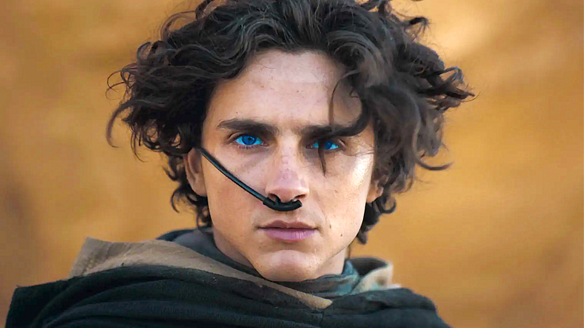 Timothée Chalamet Dune 2 most watched actor 2024