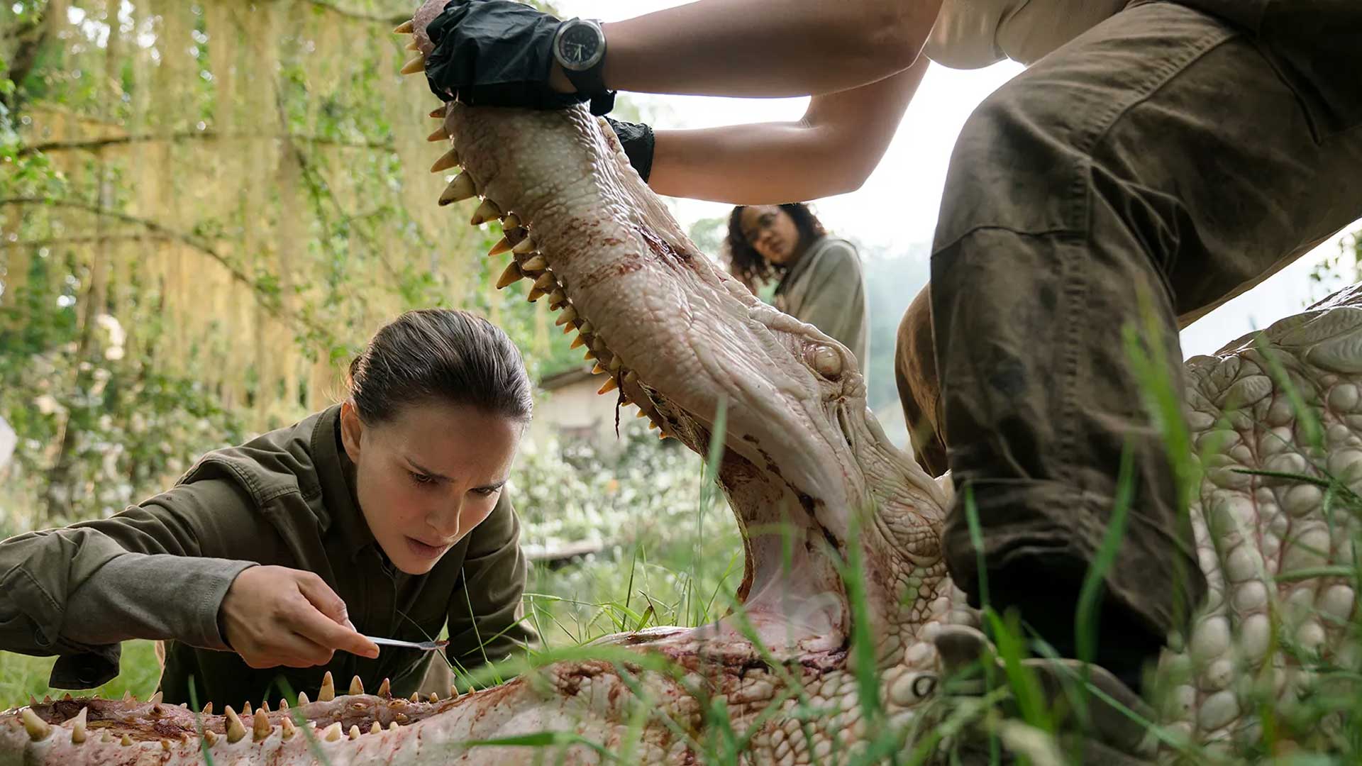 natalie portman netflix movie annihilation sci-fi