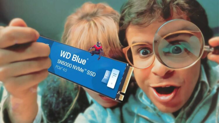 WD Blue SN5000 - The Biggest Storage With Smallest Price